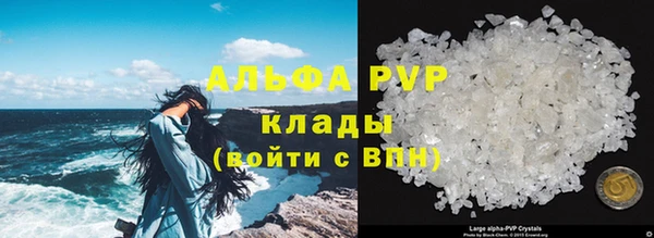 PSILOCYBIN Абаза