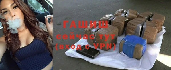 СК Алексин