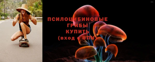 PSILOCYBIN Абаза