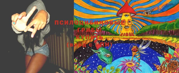 PSILOCYBIN Абаза