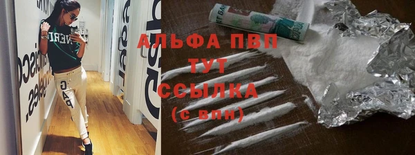 СК Алексин
