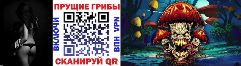 Галлюциногенные грибы Psilocybine cubensis  сайты даркнета какой сайт  Дербент 