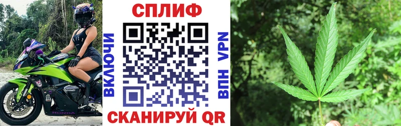 Шишки марихуана семена Дербент